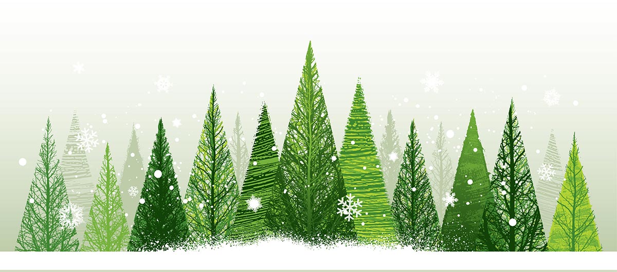 christmas trees snow